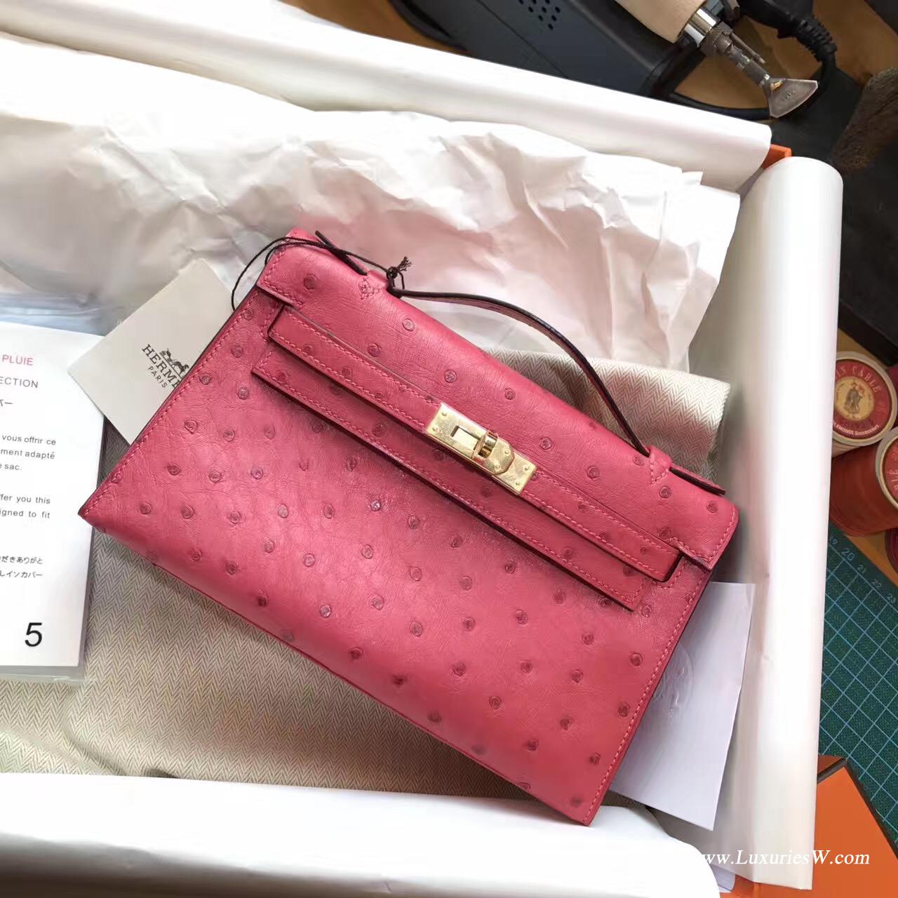 Mini Kelly鸵鸟新颜色8W Rose Azalee 新唇膏粉色 适合夏天用金色金属