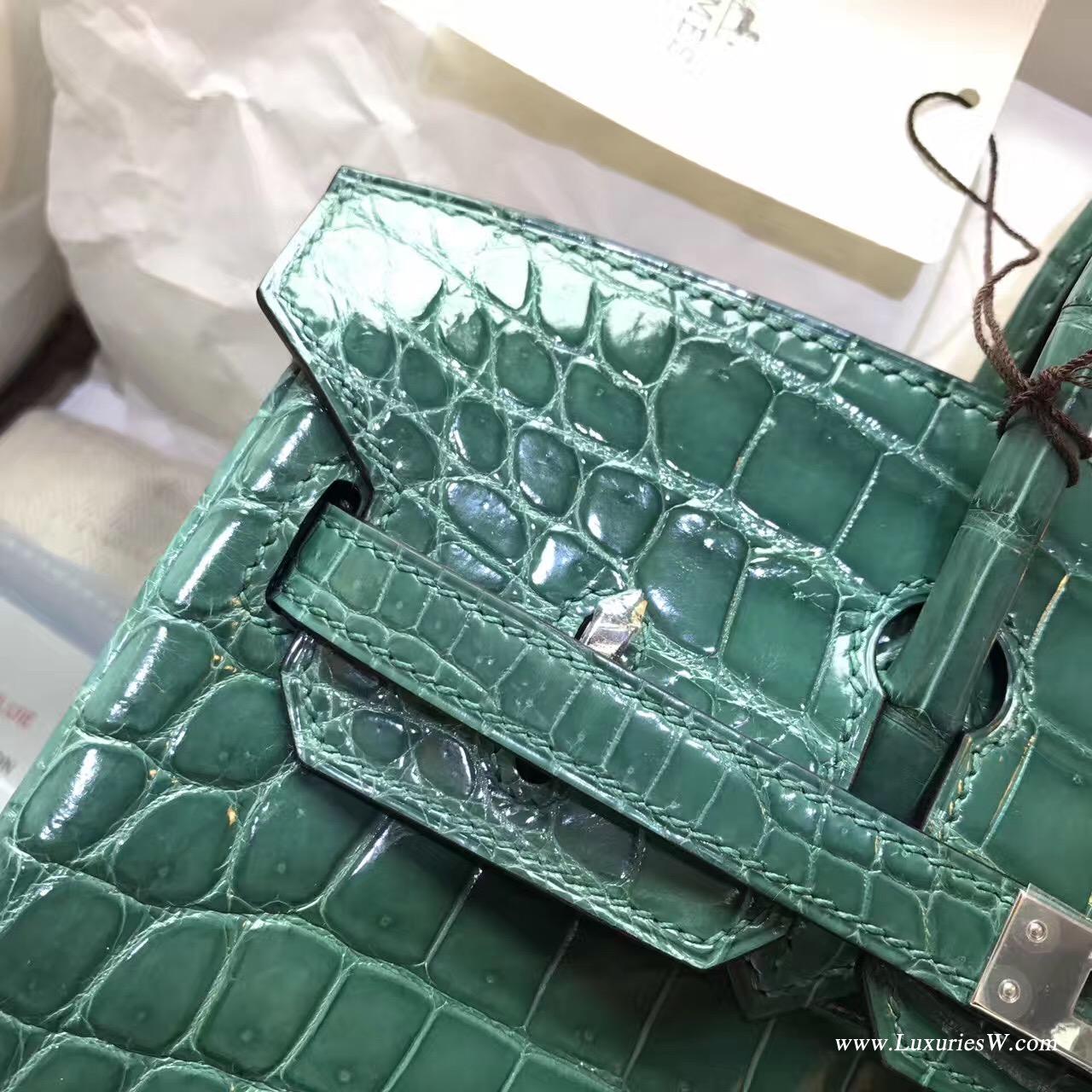 愛馬仕鉑金包Hermes Birkin 25 鱷魚光面野生倒V 2Q 英國綠Vert Anglais