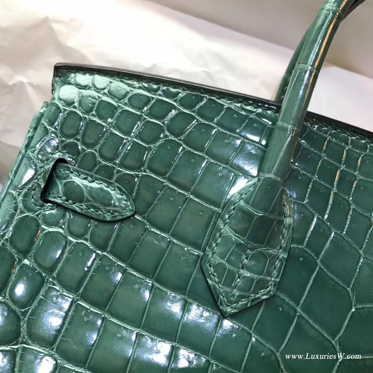 愛馬仕鉑金包Hermes Birkin 25 鱷魚光面野生倒V 2Q 英國綠Vert Anglais