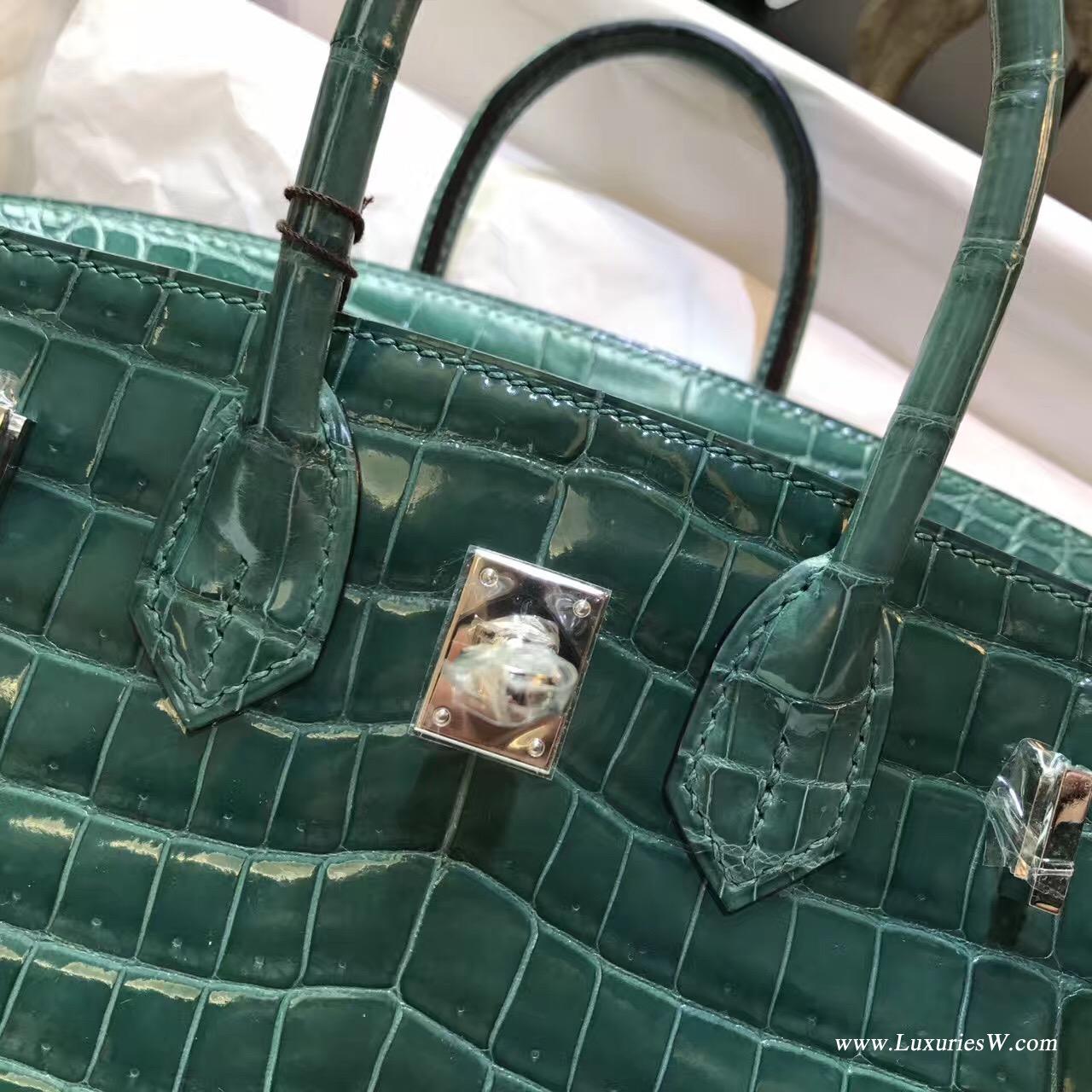 愛馬仕鉑金包Hermes Birkin 25 鱷魚光面野生倒V 2Q 英國綠Vert Anglais