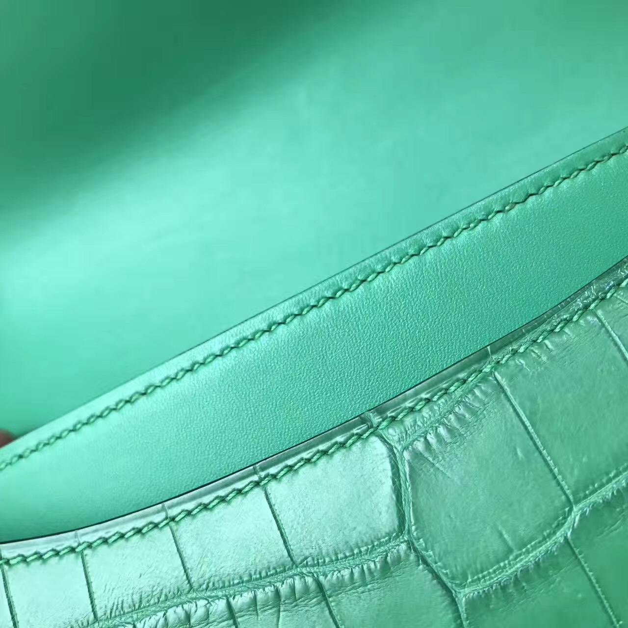 Hermes Constance 23 crocodile leather霧面鱷魚皮革 仙人掌綠色cactus green