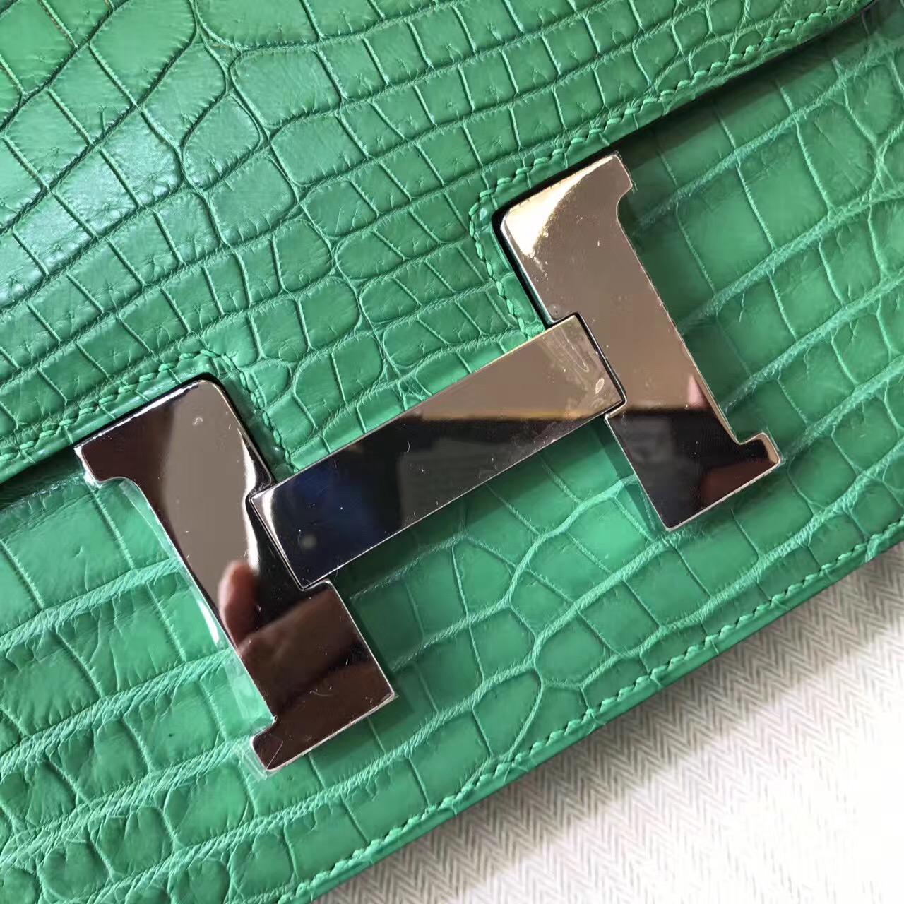 Hermes Constance 23 crocodile leather霧面鱷魚皮革 仙人掌綠色cactus green