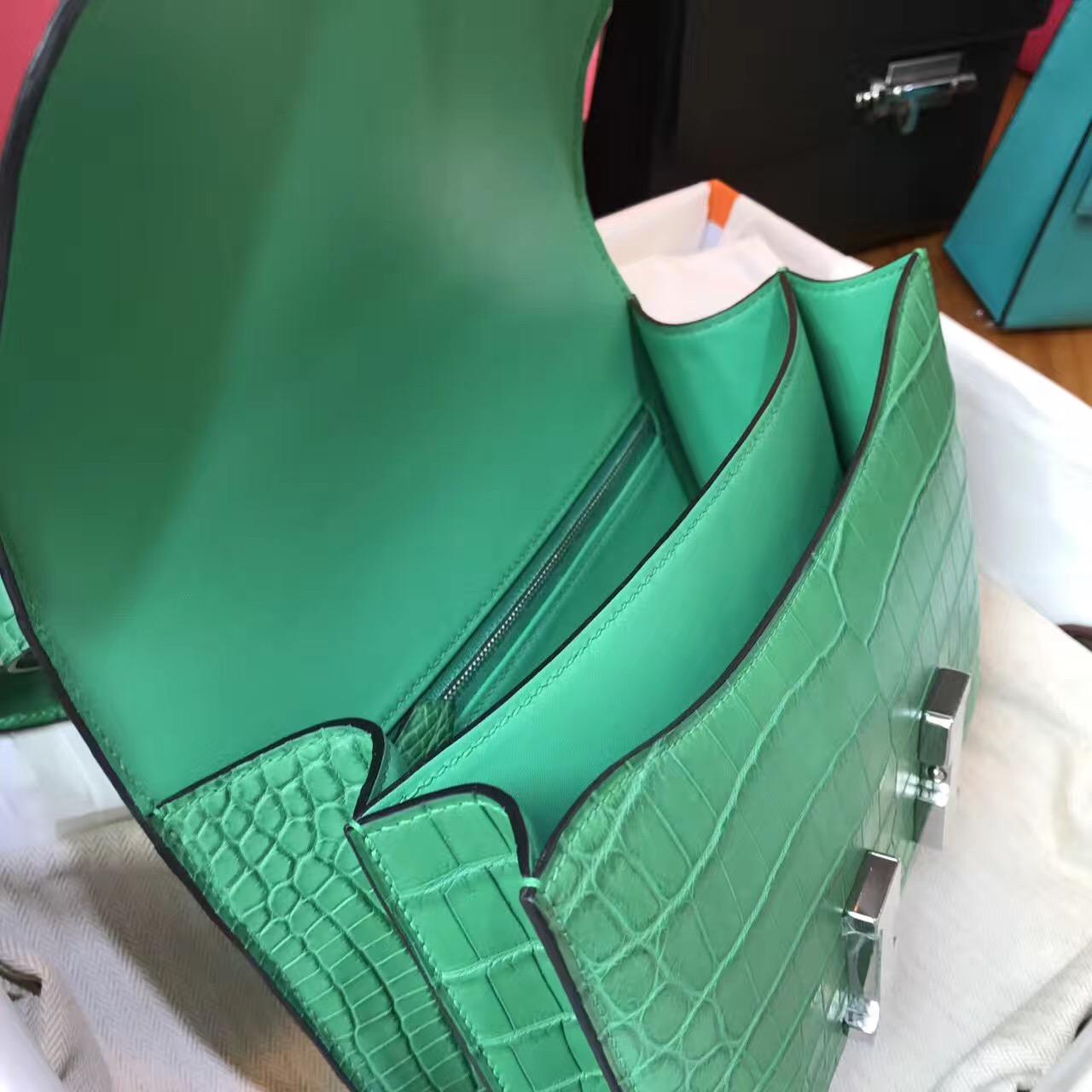 Hermes Constance 23 crocodile leather霧面鱷魚皮革 仙人掌綠色cactus green