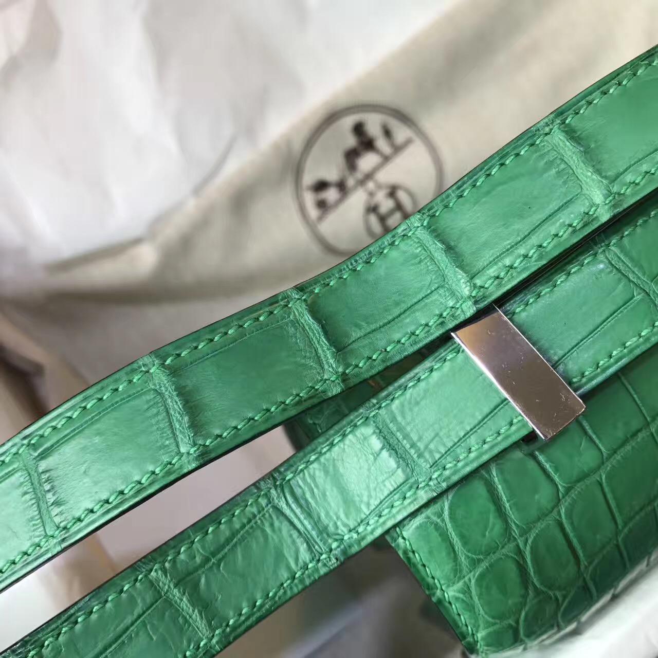 Hermes Constance 23 crocodile leather霧面鱷魚皮革 仙人掌綠色cactus green