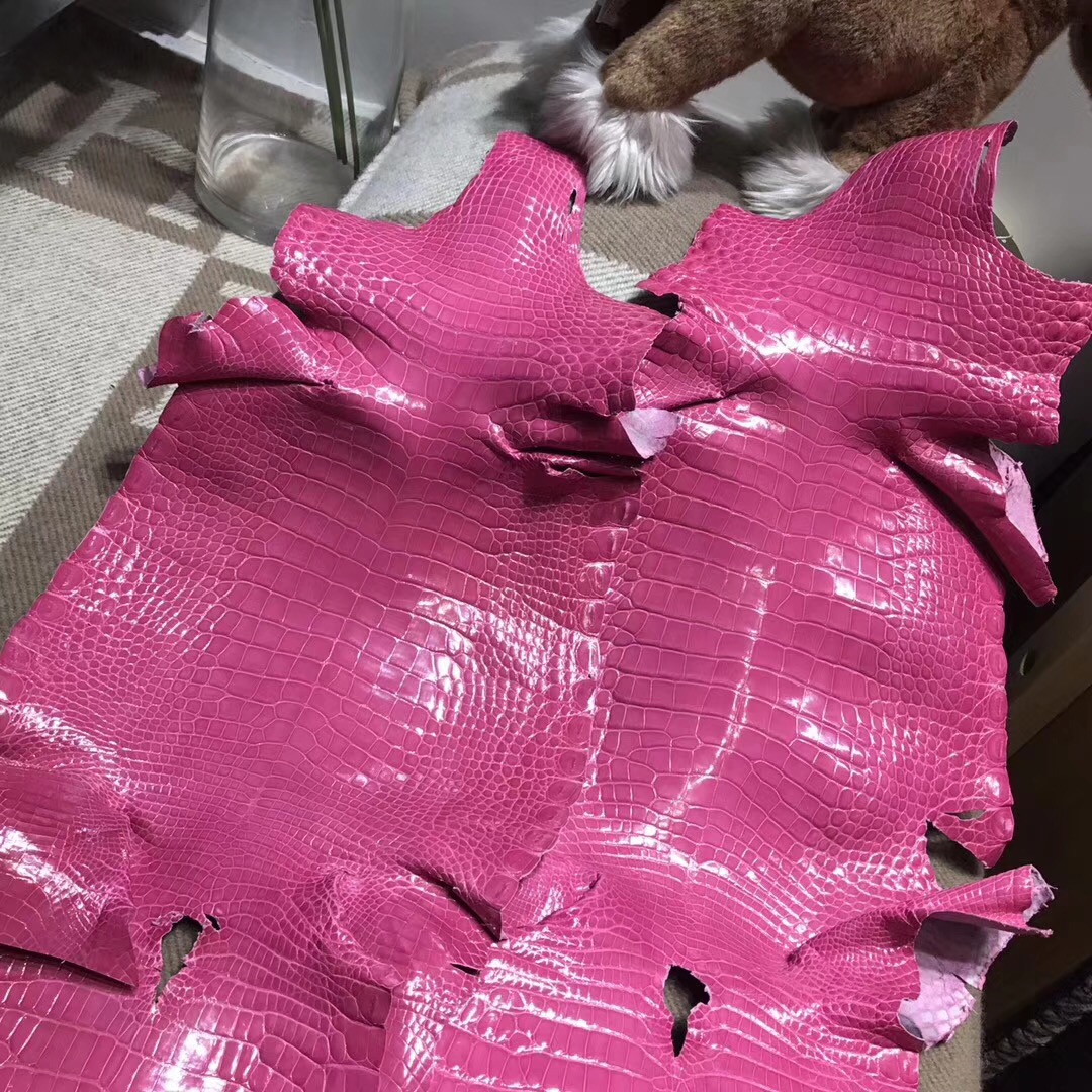 美洲鱷 密西西比鱷 是最好的皮料 蜜桃粉色 birkin kelly 小包