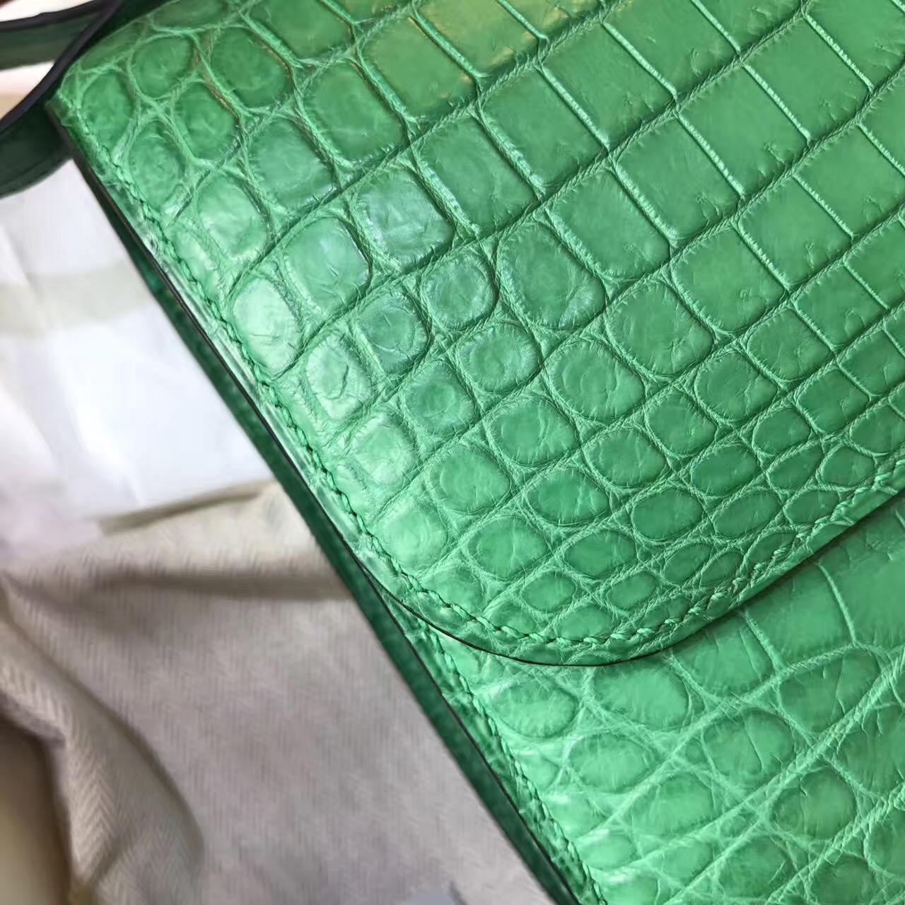 Hermes Constance 23 crocodile leather霧面鱷魚皮革 仙人掌綠色cactus green