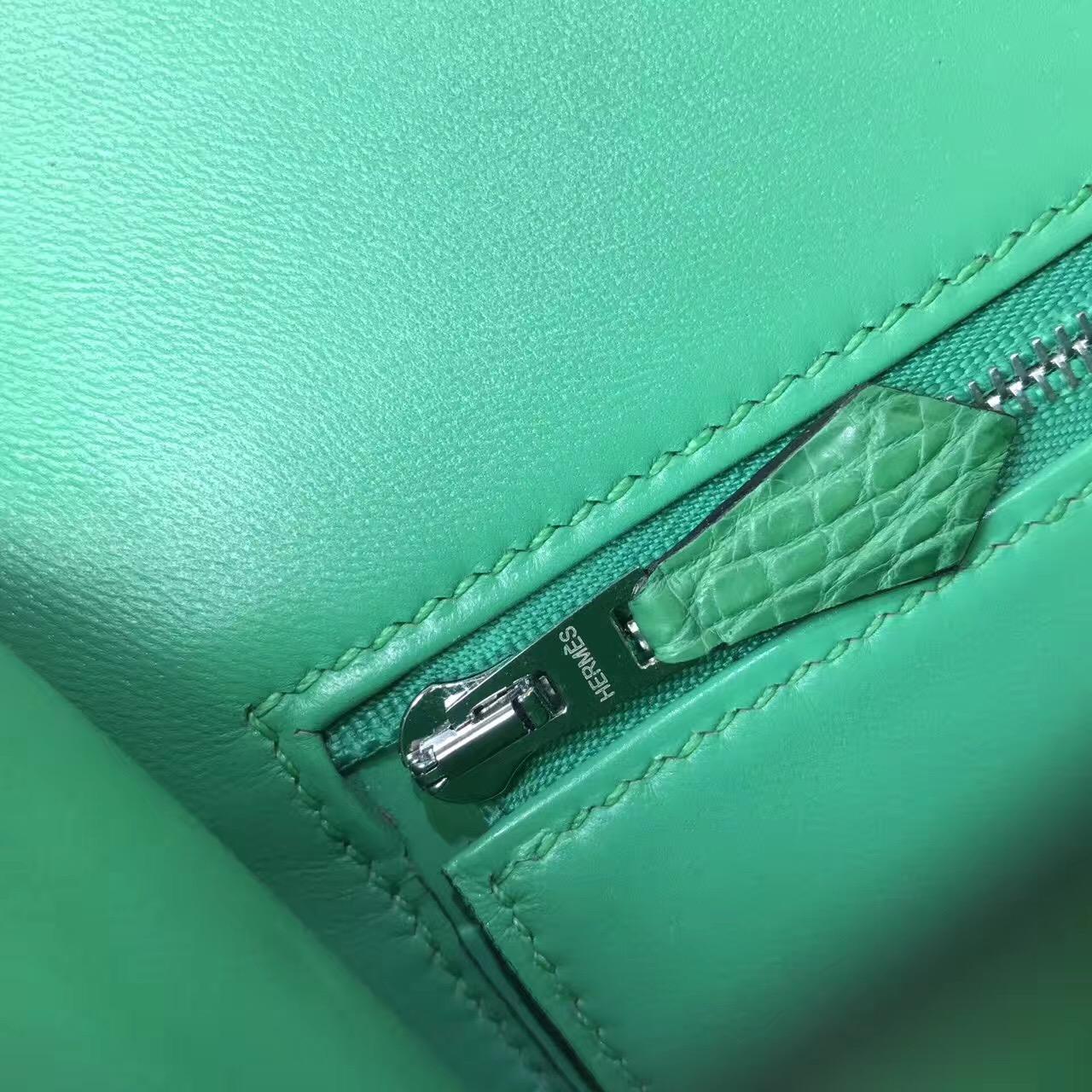 Hermes Constance 23 crocodile leather霧面鱷魚皮革 仙人掌綠色cactus green