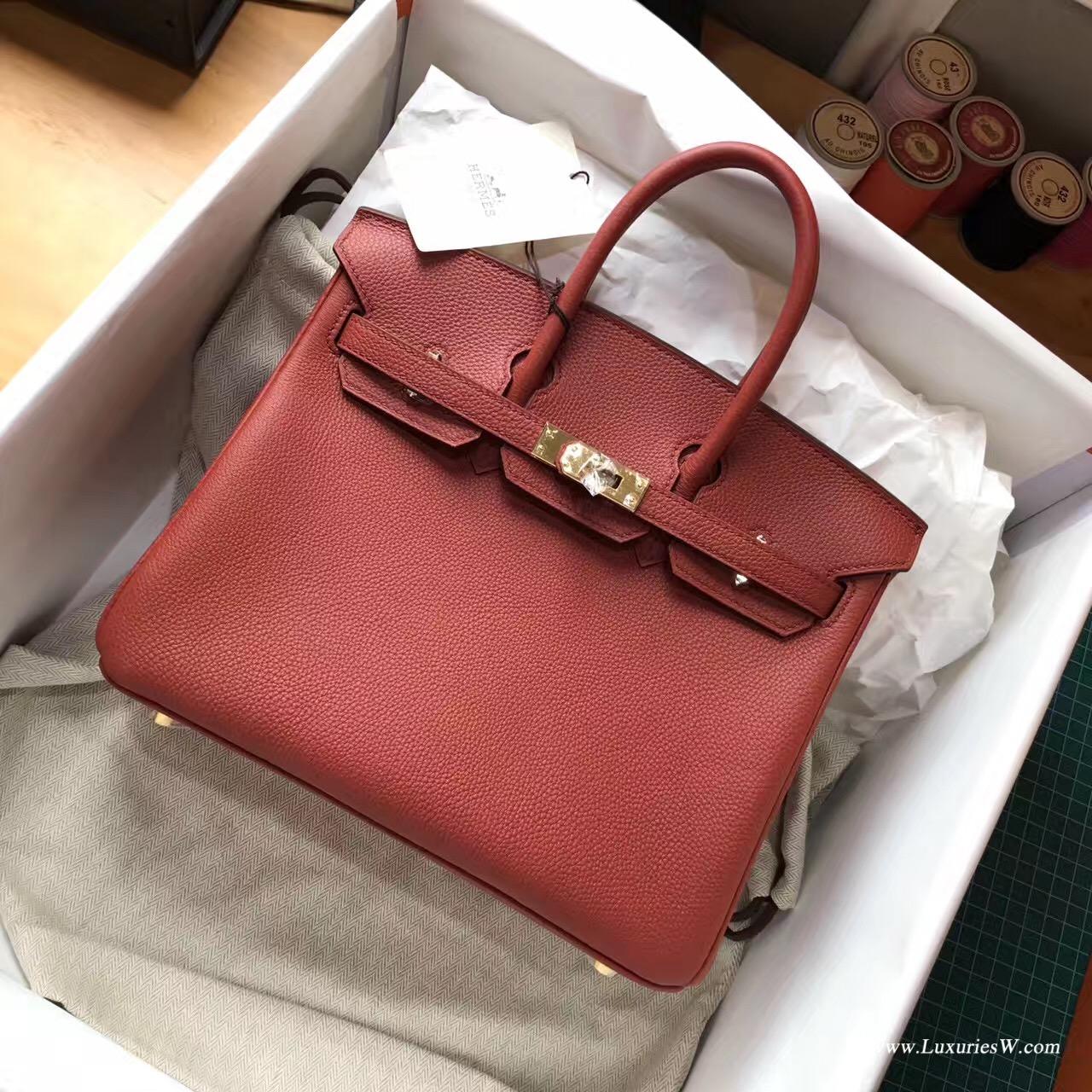 Hermès 铂金包（Birkin）爱马仕最出名的包袋 Birkin 25 togo小牛皮古铜色