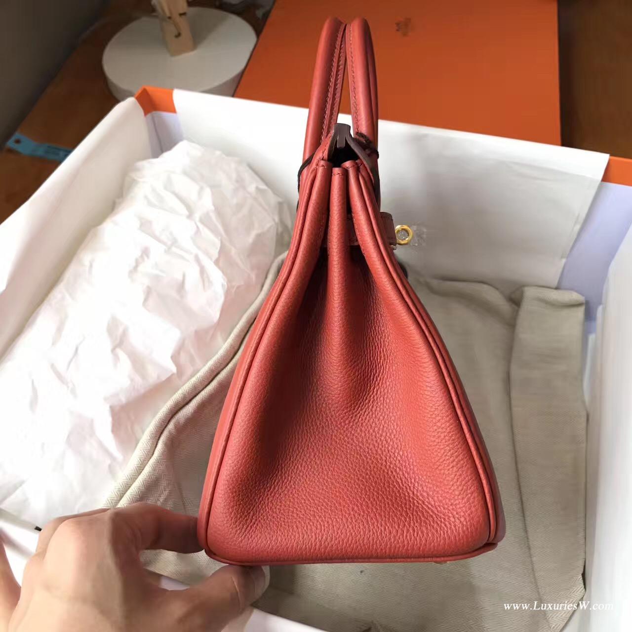 Hermès 铂金包（Birkin）爱马仕最出名的包袋 Birkin 25 togo小牛皮古铜色