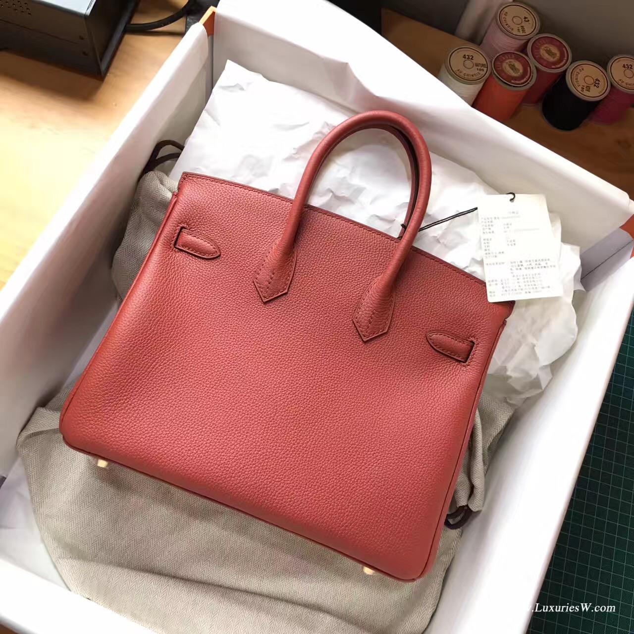 Hermès 铂金包（Birkin）爱马仕最出名的包袋 Birkin 25 togo小牛皮古铜色