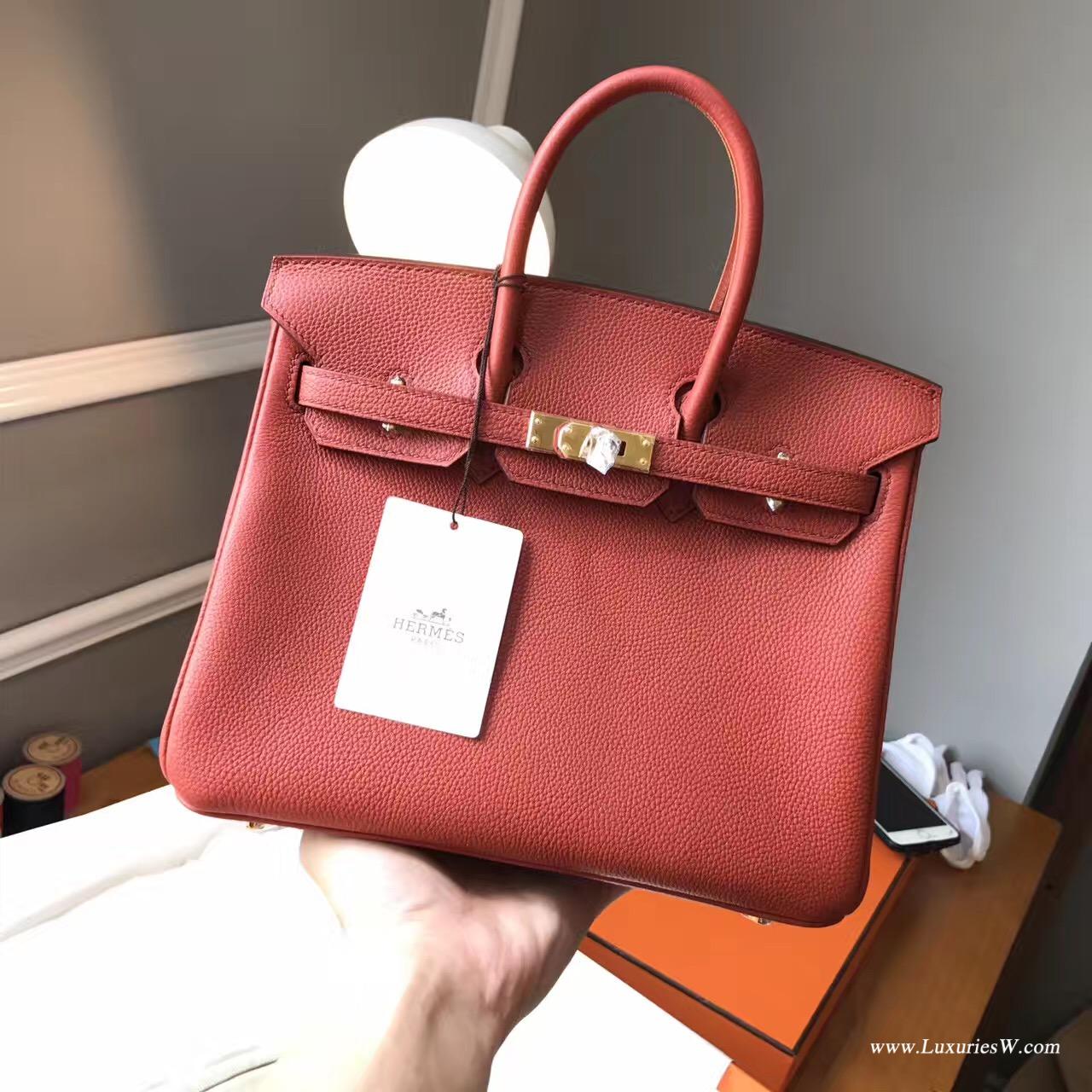 Hermès 铂金包（Birkin）爱马仕最出名的包袋 Birkin 25 togo小牛皮古铜色