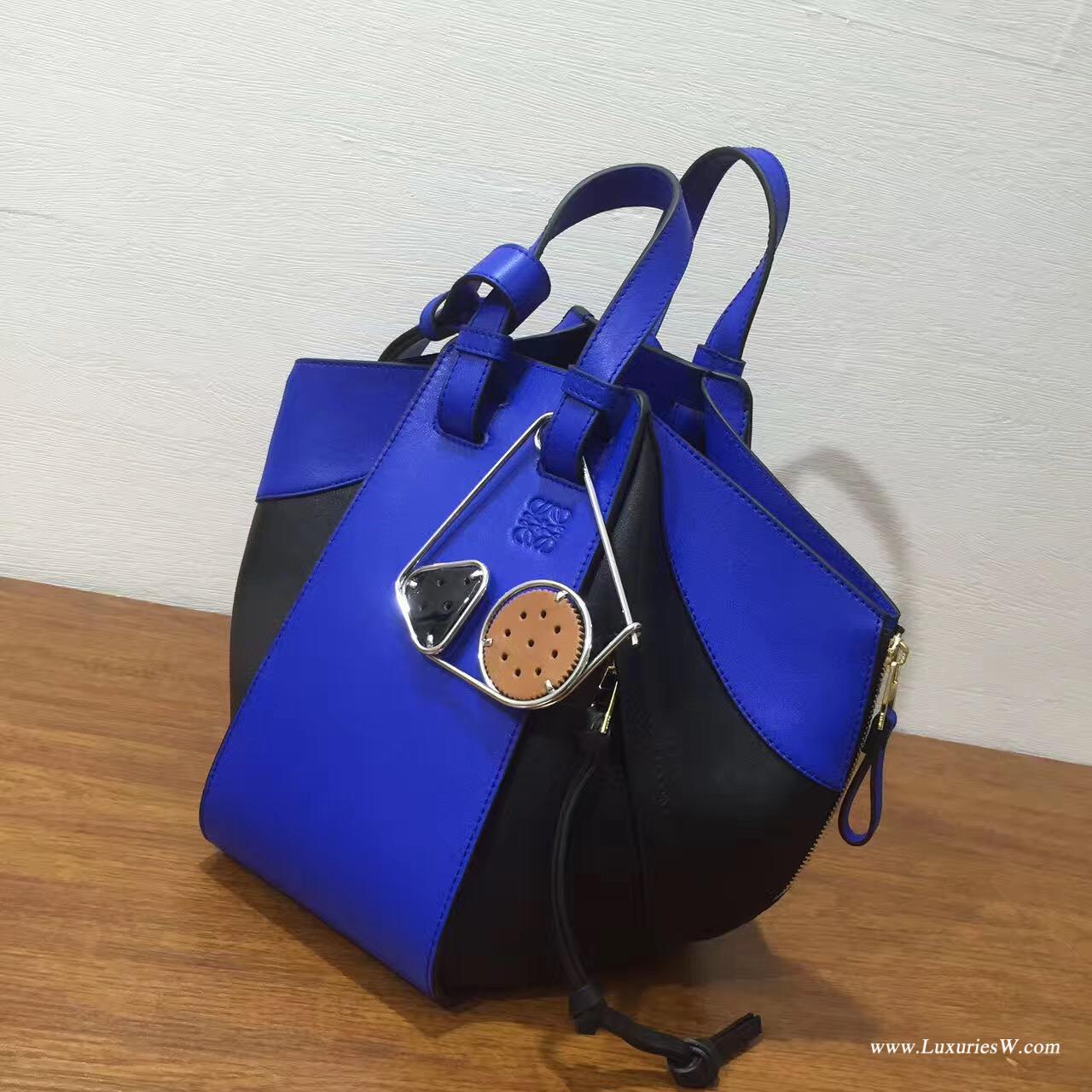 Loewe進口的柔軟小牛皮 Hammock Small Bag Electric Blue/Black