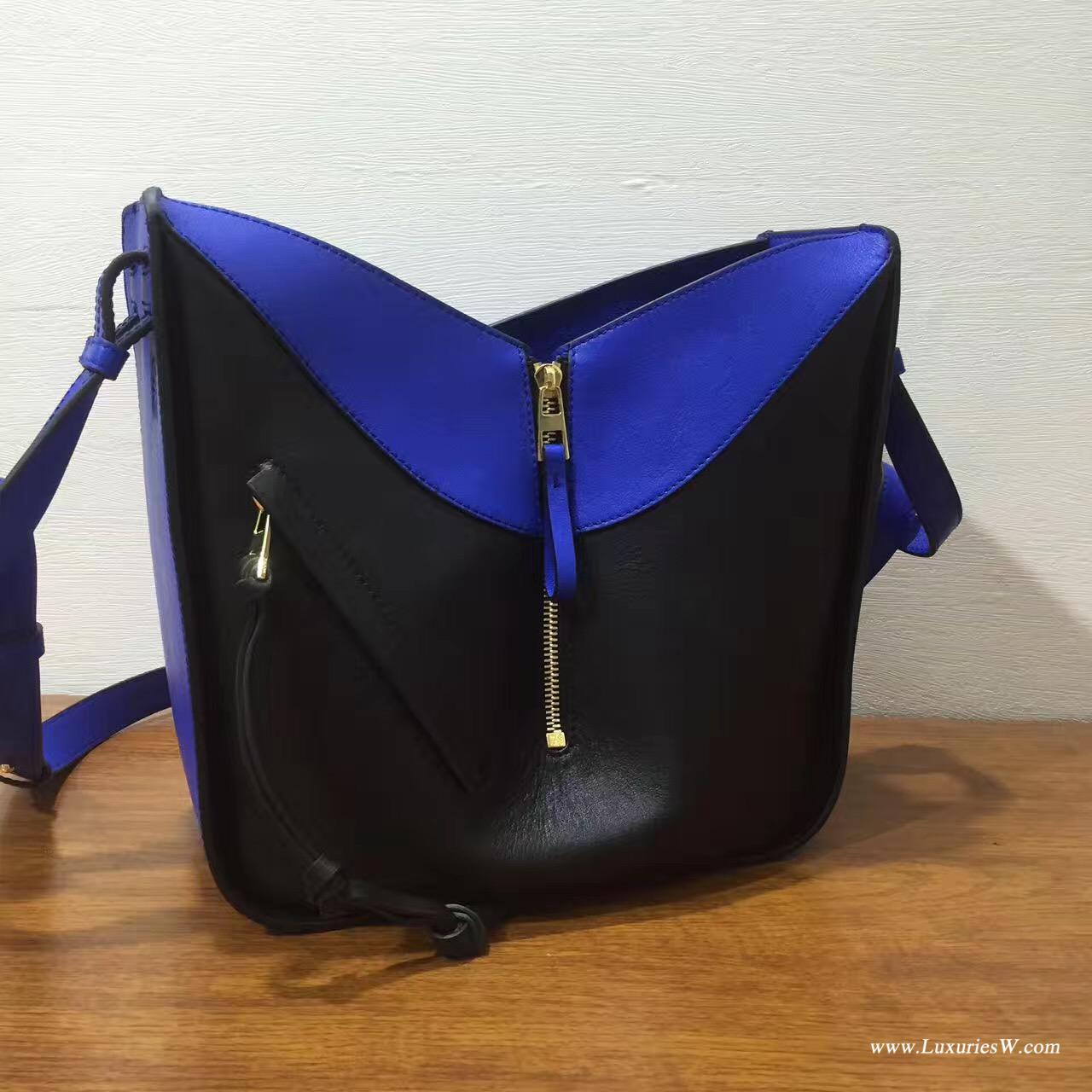 Loewe進口的柔軟小牛皮 Hammock Small Bag Electric Blue/Black