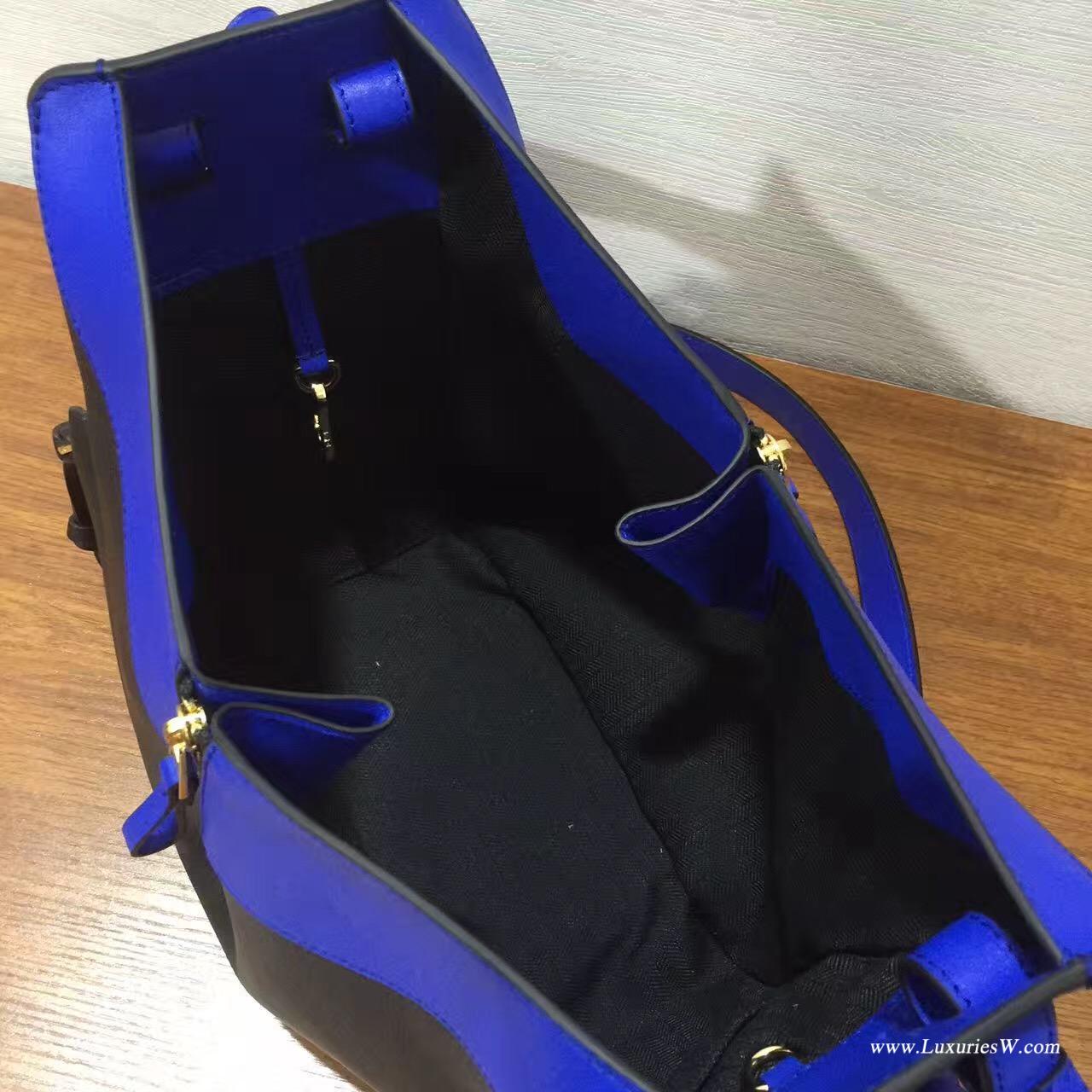 Loewe進口的柔軟小牛皮 Hammock Small Bag Electric Blue/Black