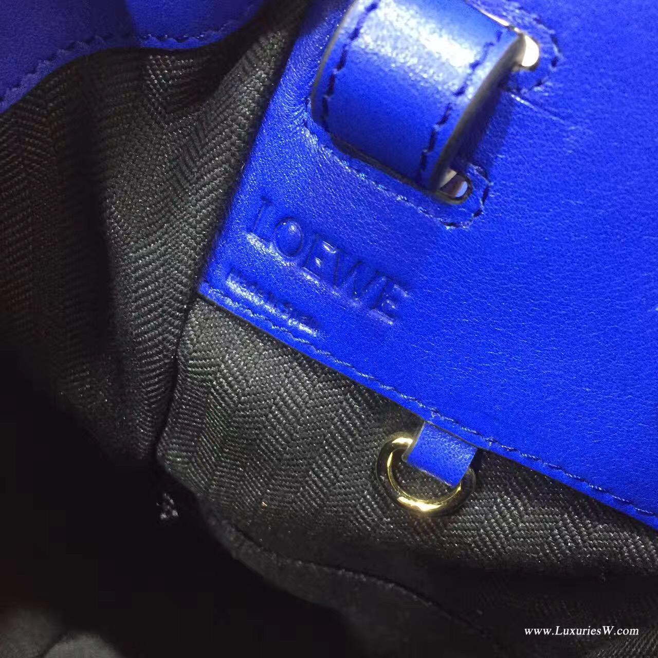 Loewe進口的柔軟小牛皮 Hammock Small Bag Electric Blue/Black