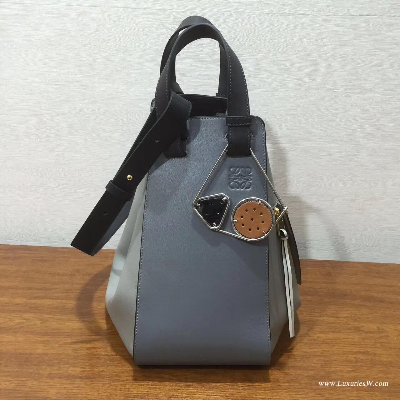 Loewe羅意威進口的柔軟小牛皮 hammock  bag Grey Multitone