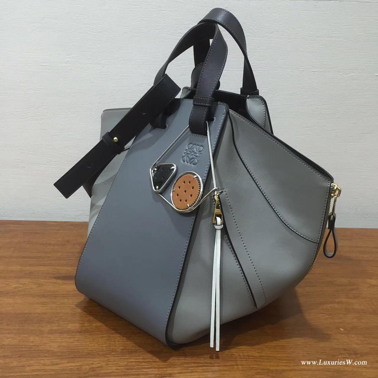 Loewe羅意威進口的柔軟小牛皮 hammock  bag Grey Multitone