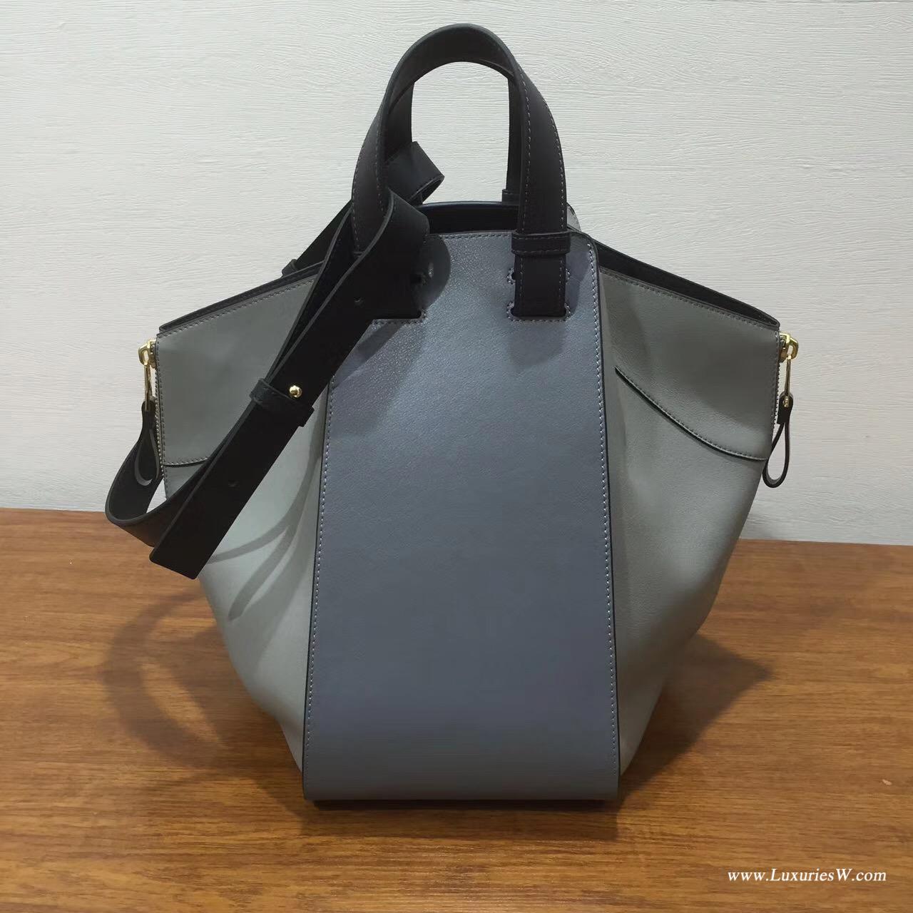 Loewe羅意威進口的柔軟小牛皮 hammock  bag Grey Multitone