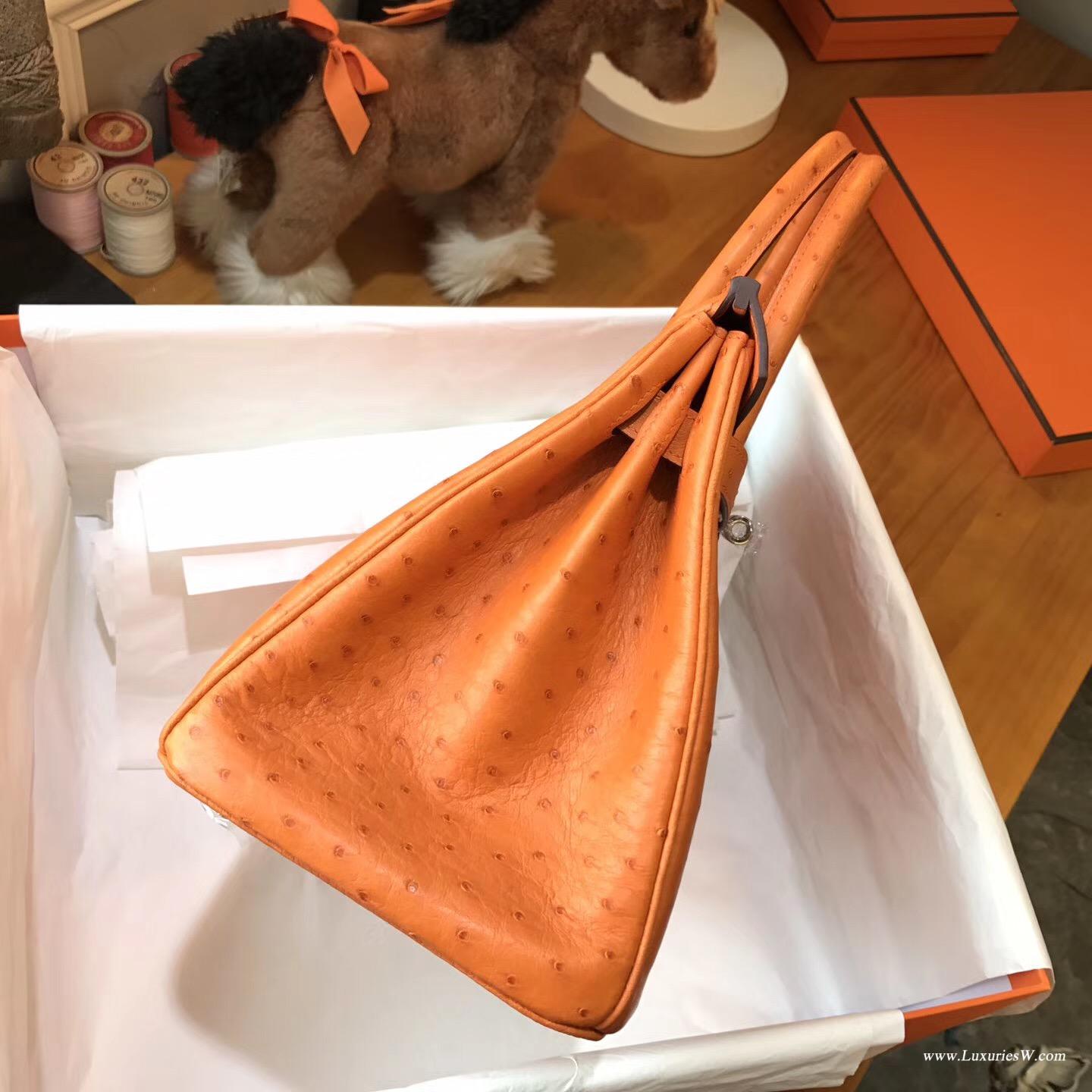 愛馬仕 鉑金包Hermes Birkin 30 鴕鳥 CK93 Orange經典橙色銀扣