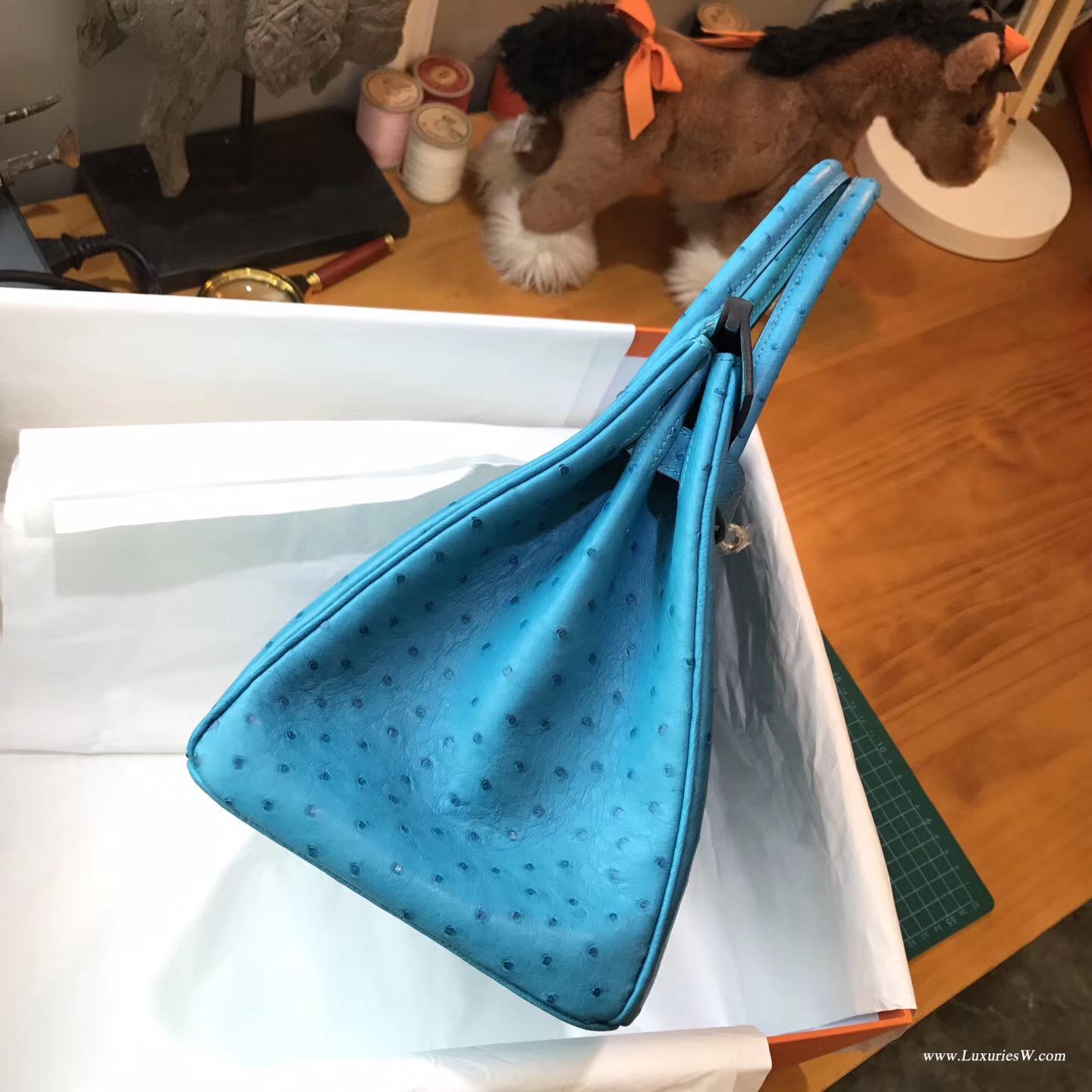 愛馬仕 鉑金包Hermes Birkin 30 鴕鳥 7C Cobalt珊瑚藍 銀扣