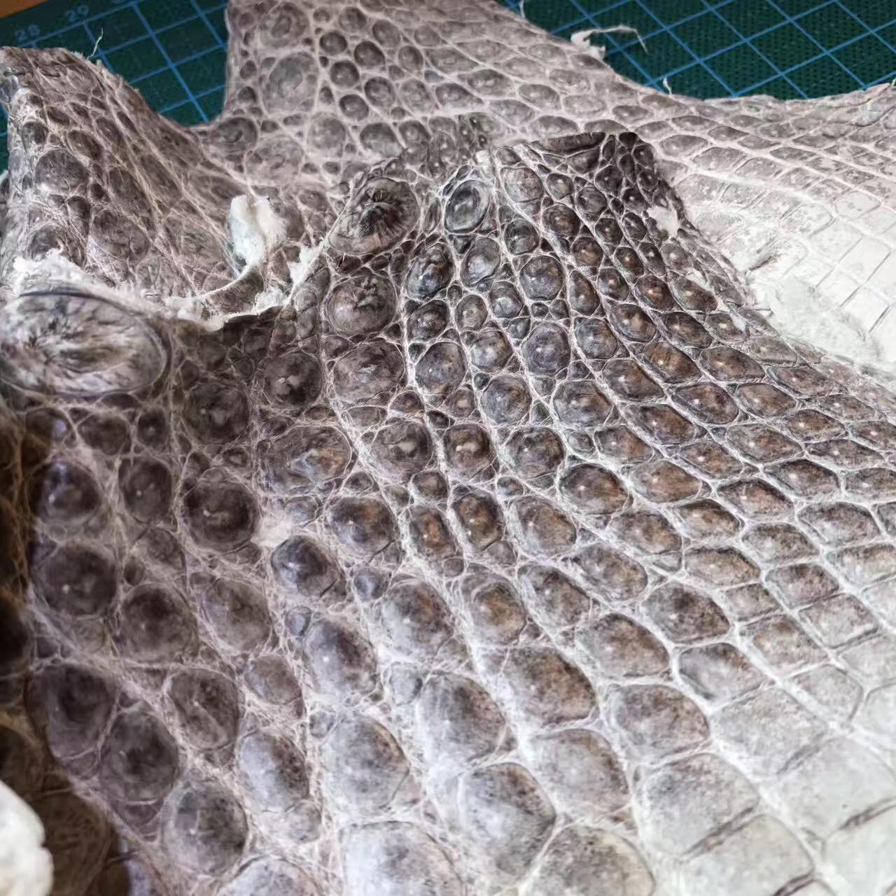 史上最貴愛馬仕鉑金包Himalaya 喜馬拉雅尼羅鱷魚皮
