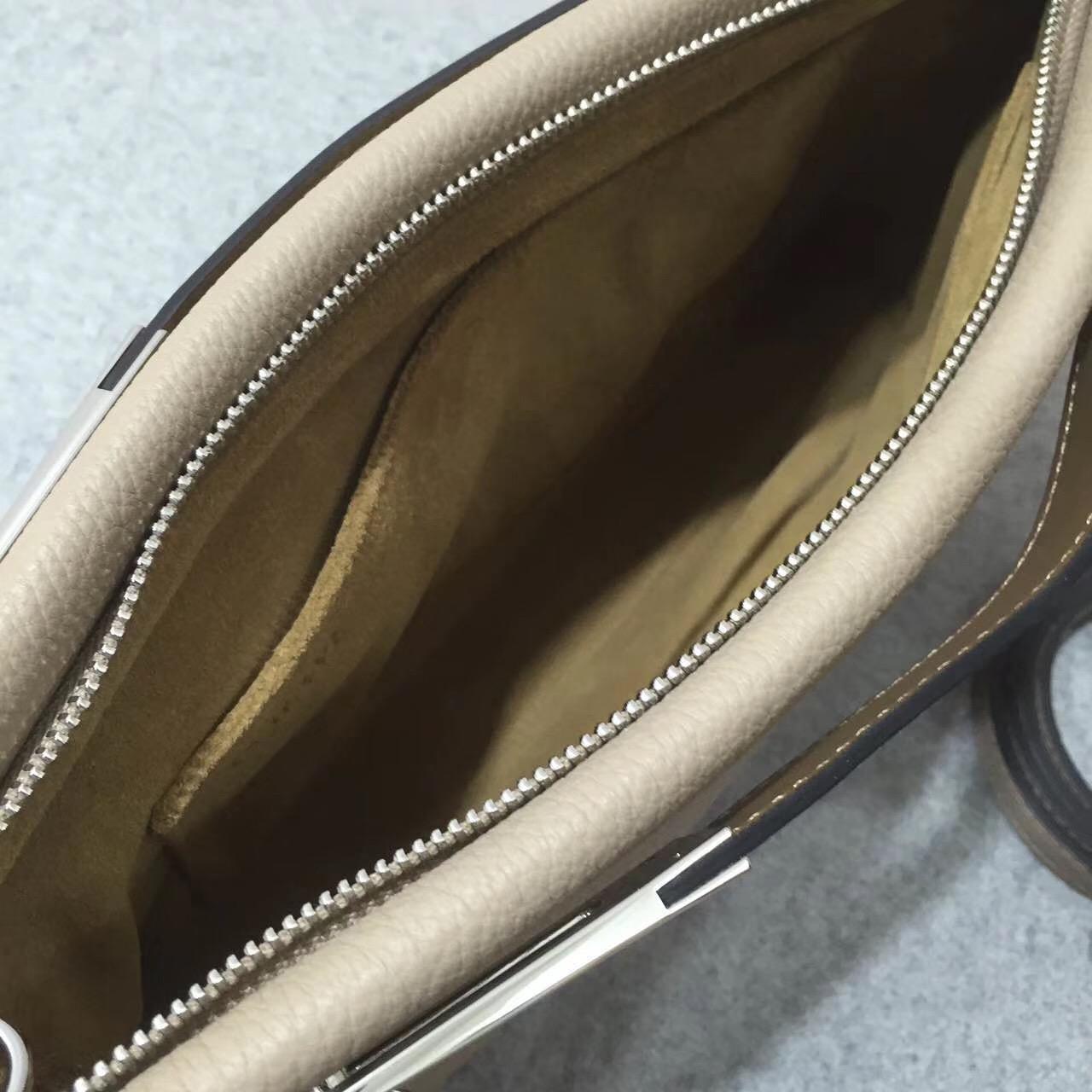 loewe羅意威 軟顆粒小牛皮 Missy Small Bag 灰色