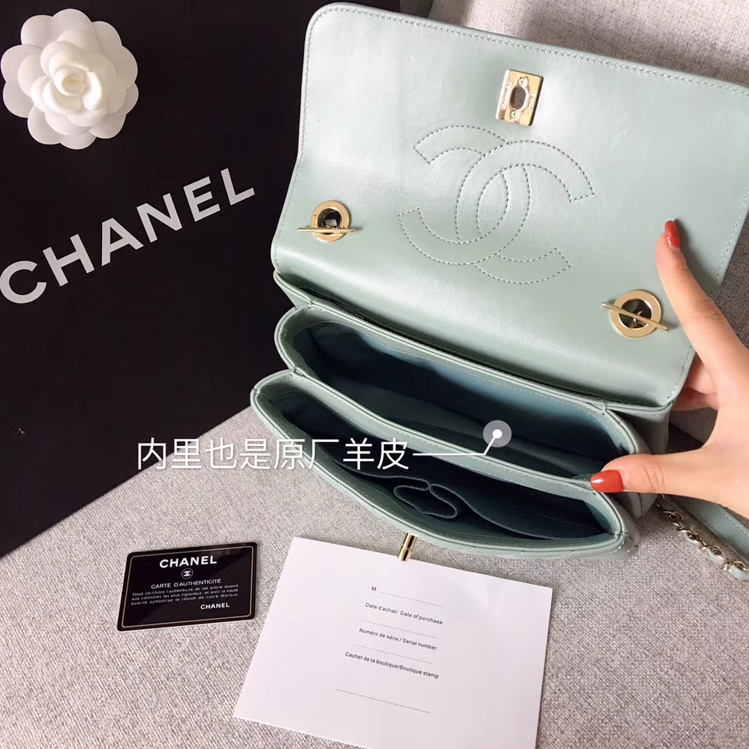 2018春夏系款 绿色羊皮 小號口蓋包配以手柄Small flap bag with top handle