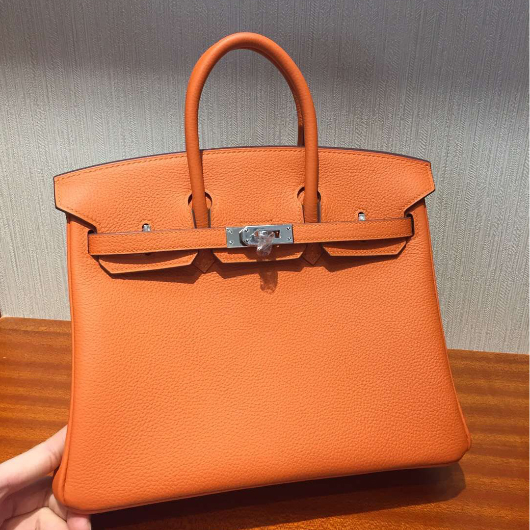 愛馬仕鉑金包價格 Hermes Birkin 25 Bag Togo小牛皮 CK93橙色 全手工蜜蠟線縫