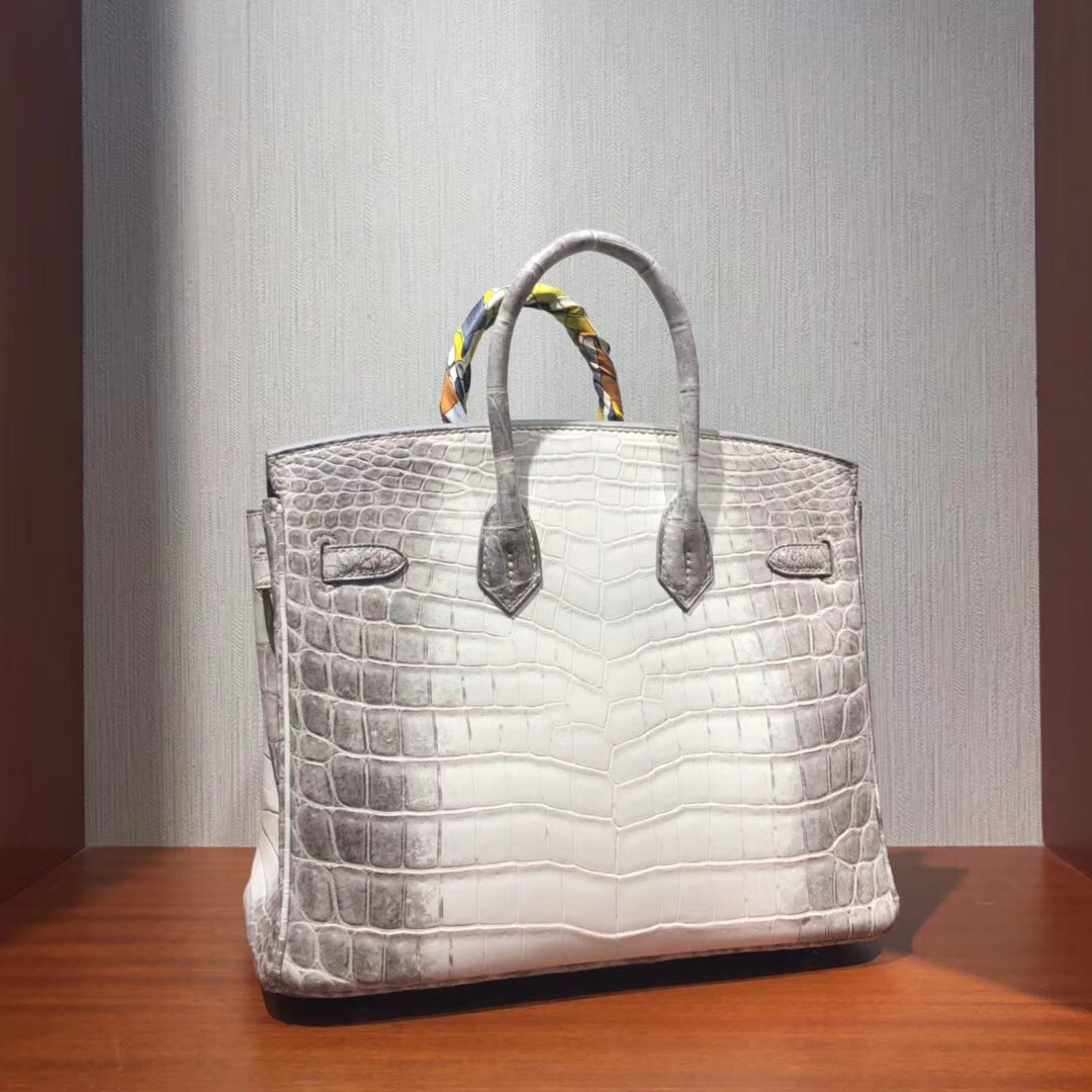 愛馬仕鱷魚皮鉑金包 Hermes Birkin 25cm Bag Natura鱷魚皮 Himalaya喜馬拉雅色