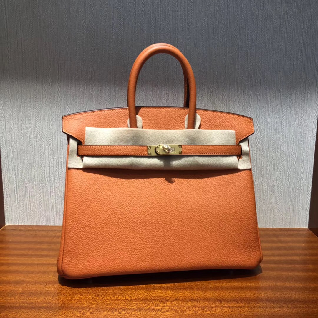 愛馬仕鉑金 Hermes Birkin 25cm Bag Togo小牛皮 CK93橙色orange 金扣