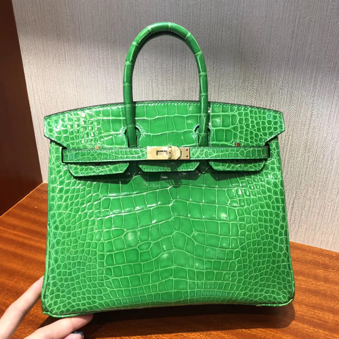 愛馬仕2018新款包包Hermes 1L仙人掌綠色 Birkin 25 方塊 美洲鱷魚完美紋路 金扣