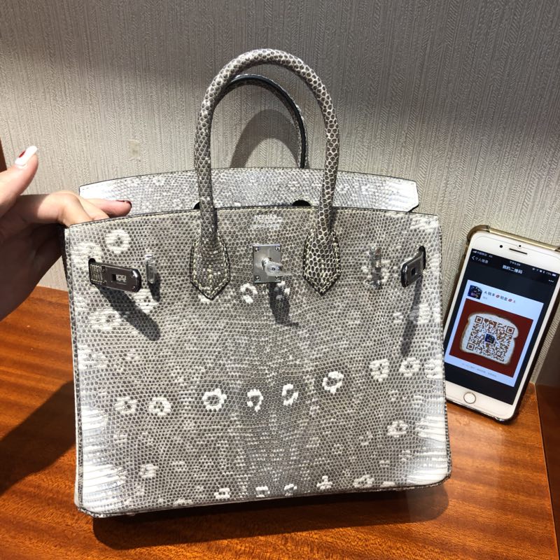 Hermes Birkin Bag 25cm 雪花紋喜馬拉雅蜥蜴皮Lizard 01自然色 銀扣