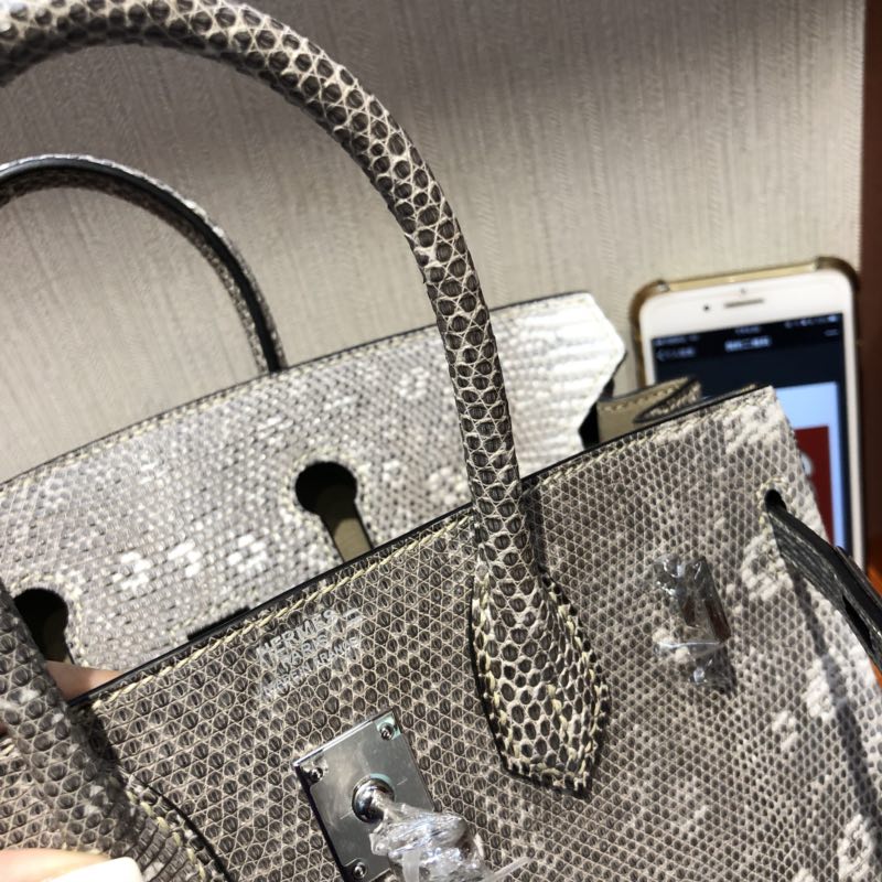 Hermes Birkin Bag 25cm 雪花紋喜馬拉雅蜥蜴皮Lizard 01自然色 銀扣