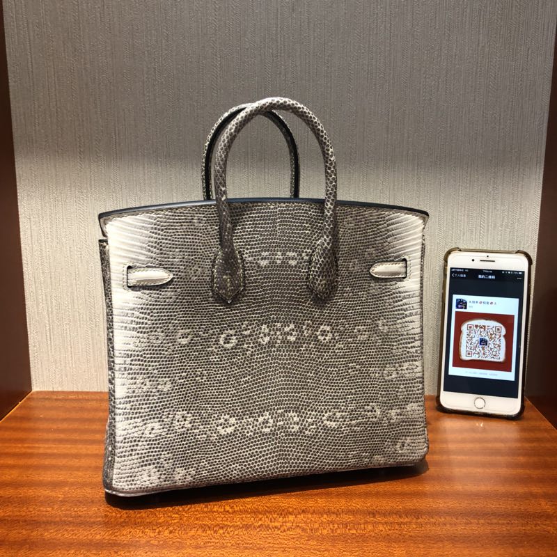 Hermes Birkin Bag 25cm 雪花紋喜馬拉雅蜥蜴皮Lizard 01自然色 銀扣