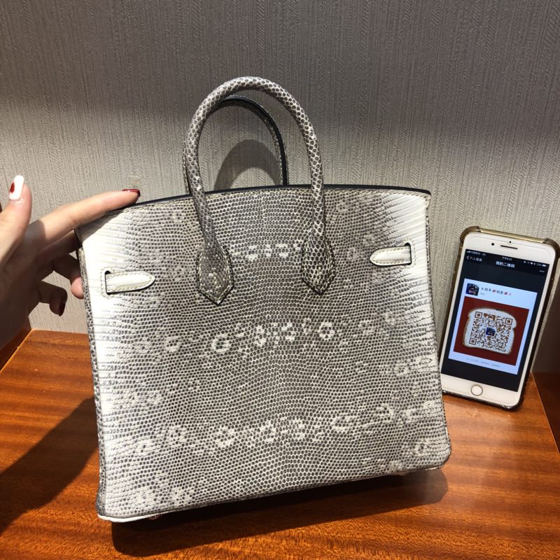 Hermes Birkin Bag 25cm 雪花紋喜馬拉雅蜥蜴皮Lizard 01自然色 銀扣