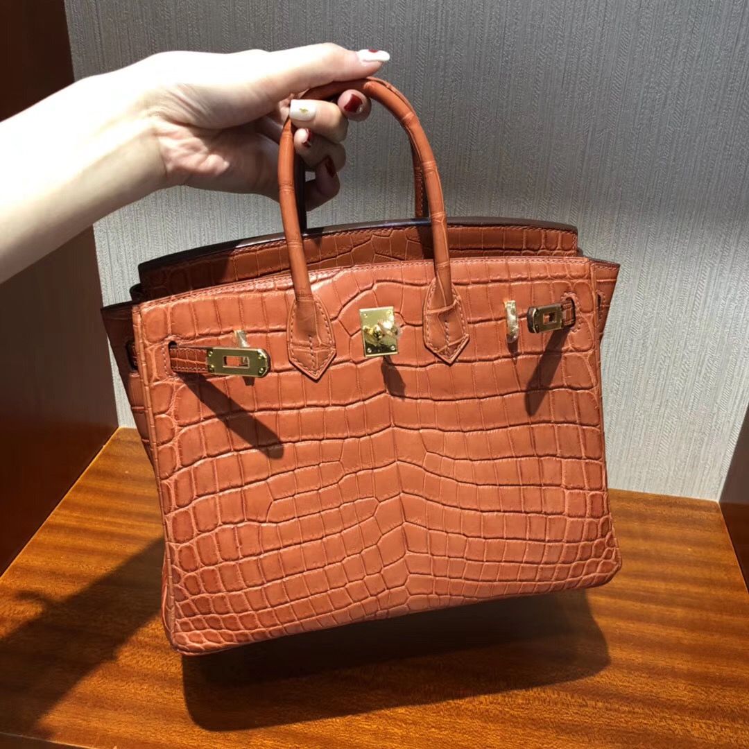 愛馬仕Birkin鉑金包攻略 Hermes三文魚色 Birkin 25cm 霧面兩點尼羅鱷魚金扣