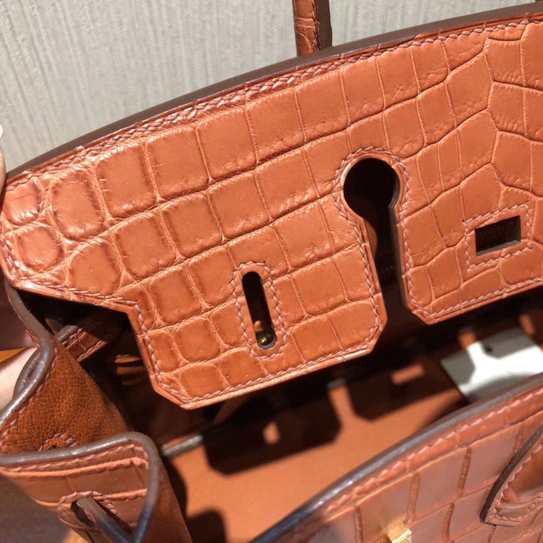 愛馬仕Birkin鉑金包攻略 Hermes三文魚色 Birkin 25cm 霧面兩點尼羅鱷魚金扣