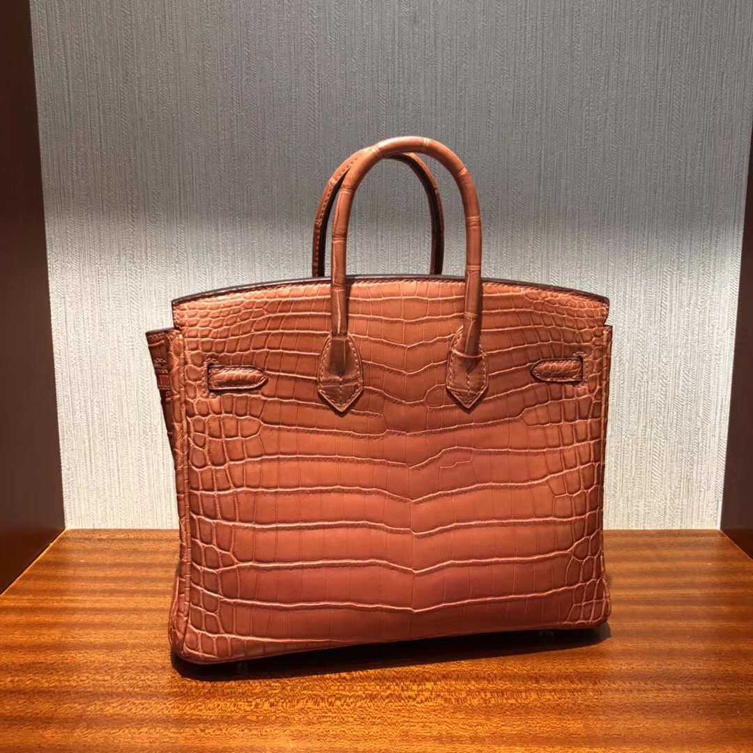 愛馬仕Birkin鉑金包攻略 Hermes三文魚色 Birkin 25cm 霧面兩點尼羅鱷魚金扣