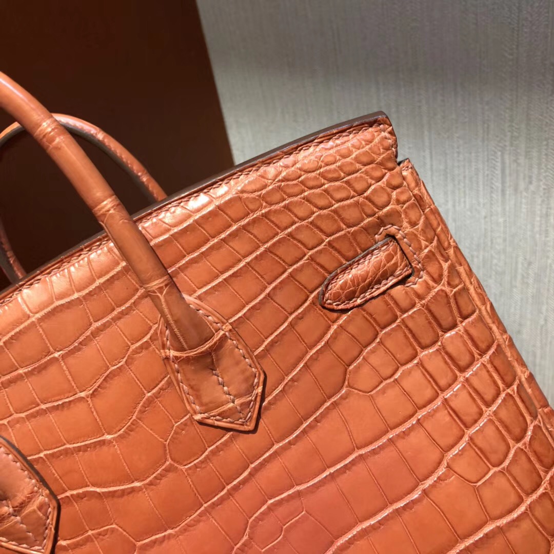 愛馬仕Birkin鉑金包攻略 Hermes三文魚色 Birkin 25cm 霧面兩點尼羅鱷魚金扣