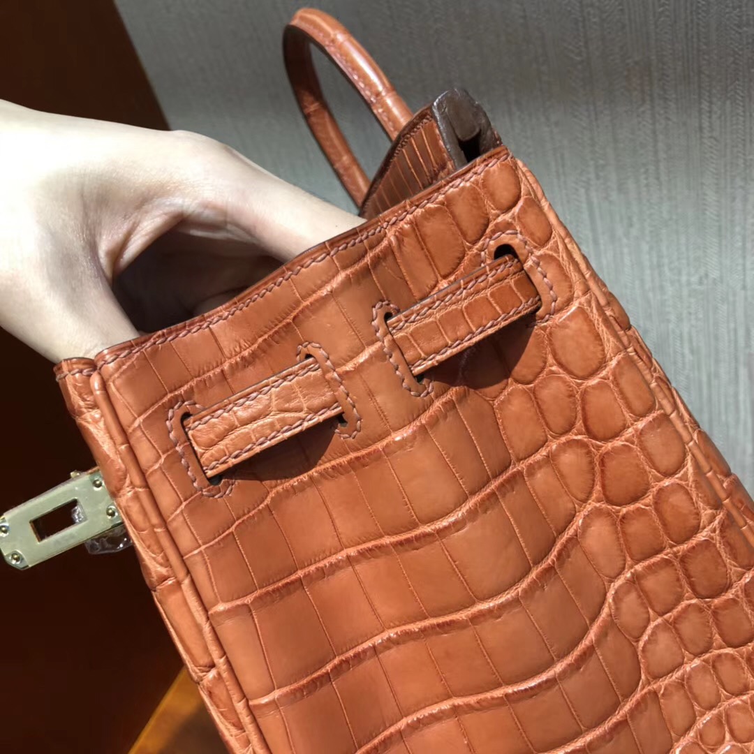 愛馬仕Birkin鉑金包攻略 Hermes三文魚色 Birkin 25cm 霧面兩點尼羅鱷魚金扣