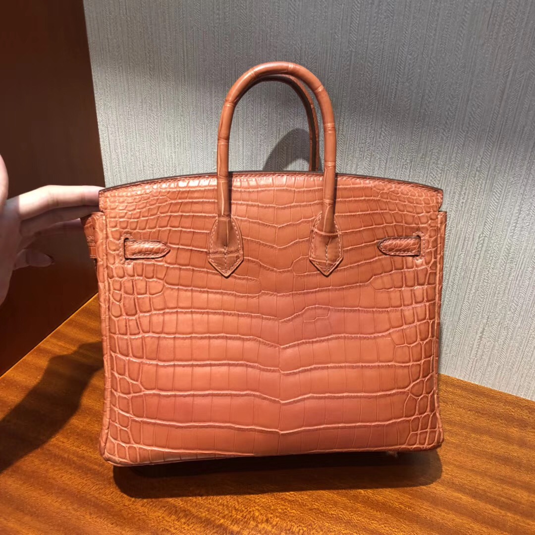 愛馬仕Birkin鉑金包攻略 Hermes三文魚色 Birkin 25cm 霧面兩點尼羅鱷魚金扣