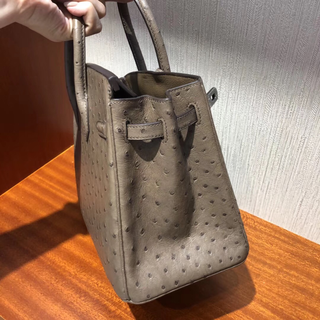 Hermes 鉑金包Birkin 25cm CK18大象灰etoupe 原廠南非KK ostrich鴕鳥皮