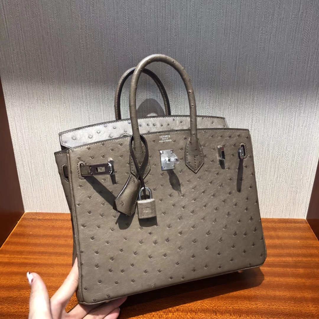 Hermes 鉑金包Birkin 25cm CK18大象灰etoupe 原廠南非KK ostrich鴕鳥皮