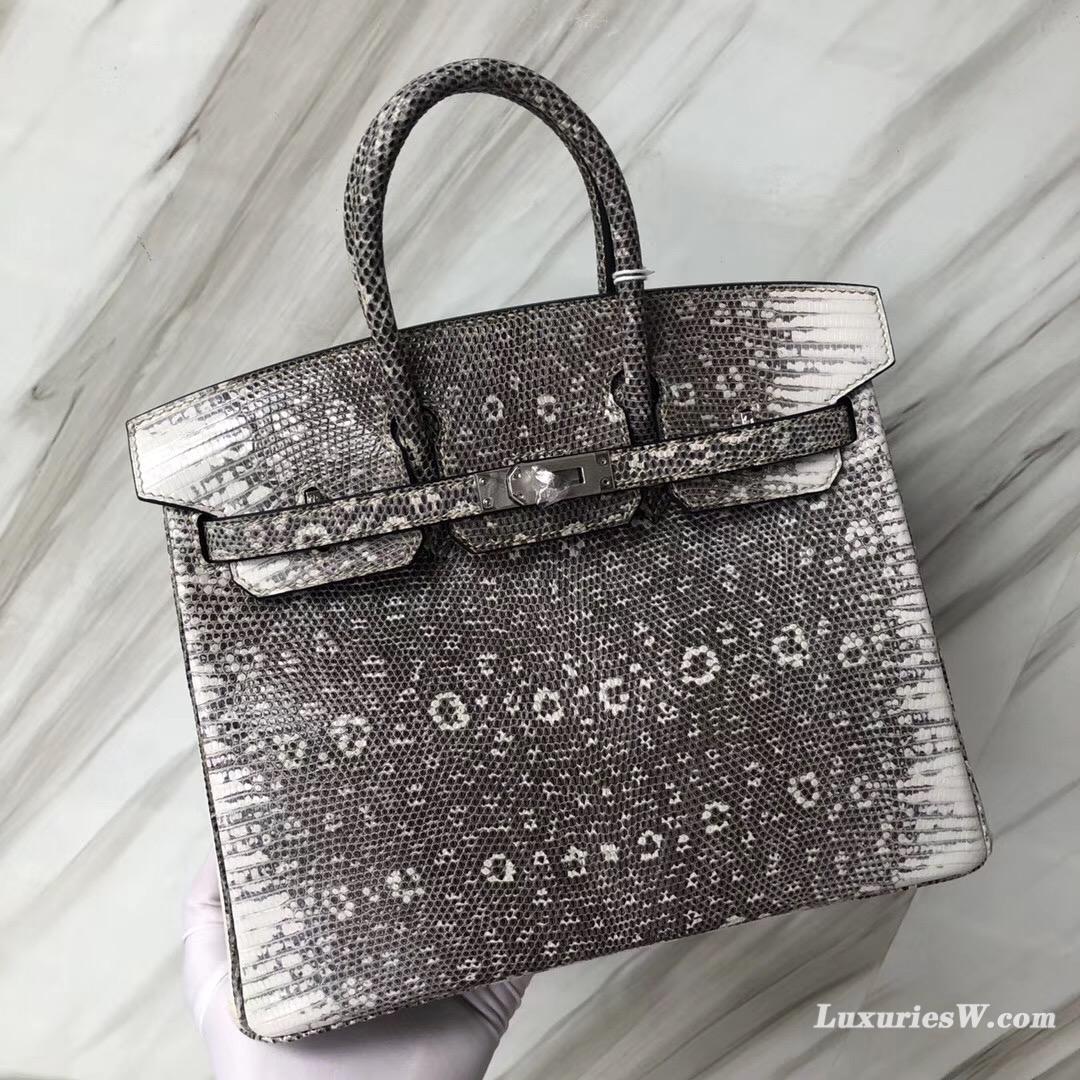 臺中愛馬仕專賣店 Hermes Birkin Bag 25 01雪花色蜥蜴皮 自然色