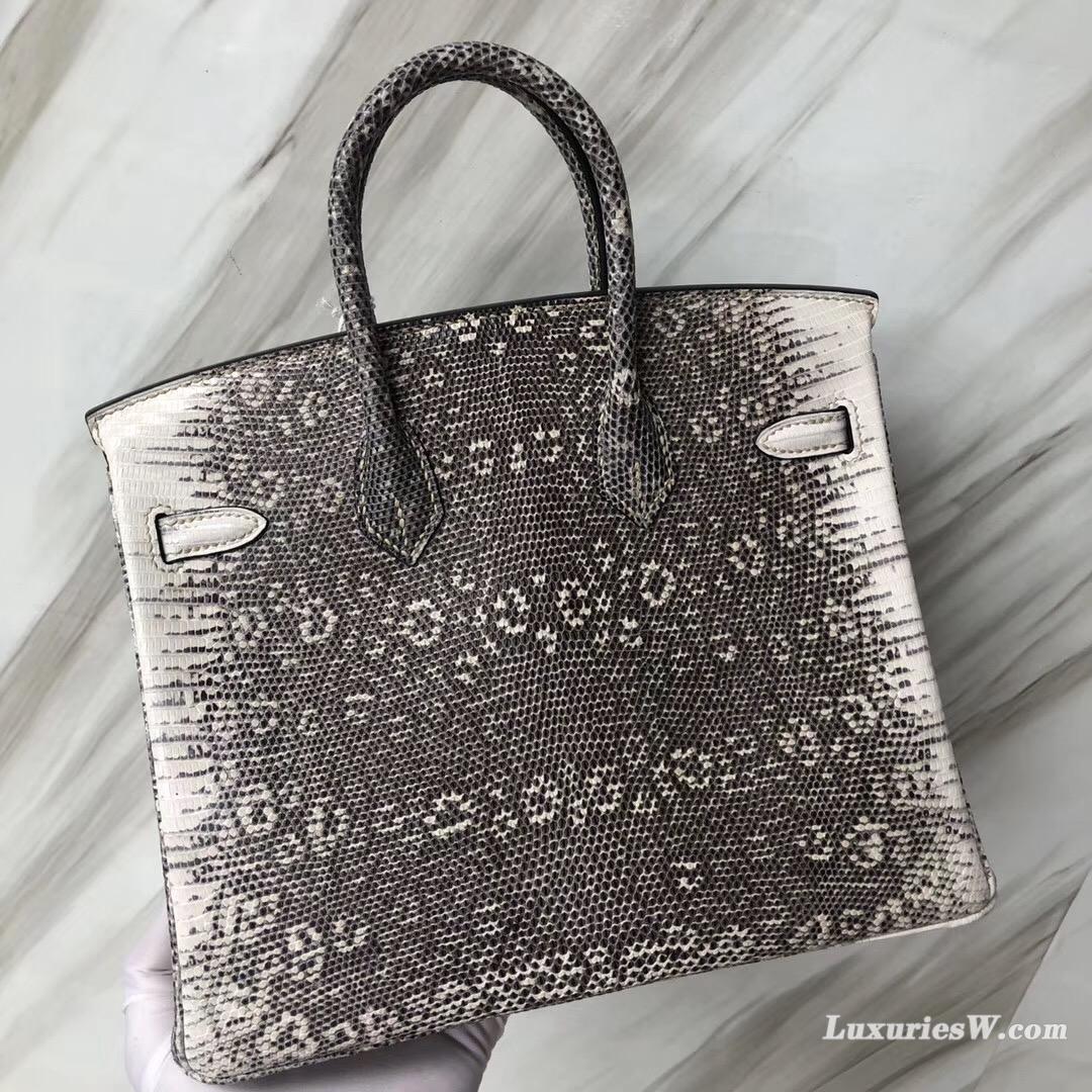 臺中愛馬仕專賣店 Hermes Birkin Bag 25 01雪花色蜥蜴皮 自然色