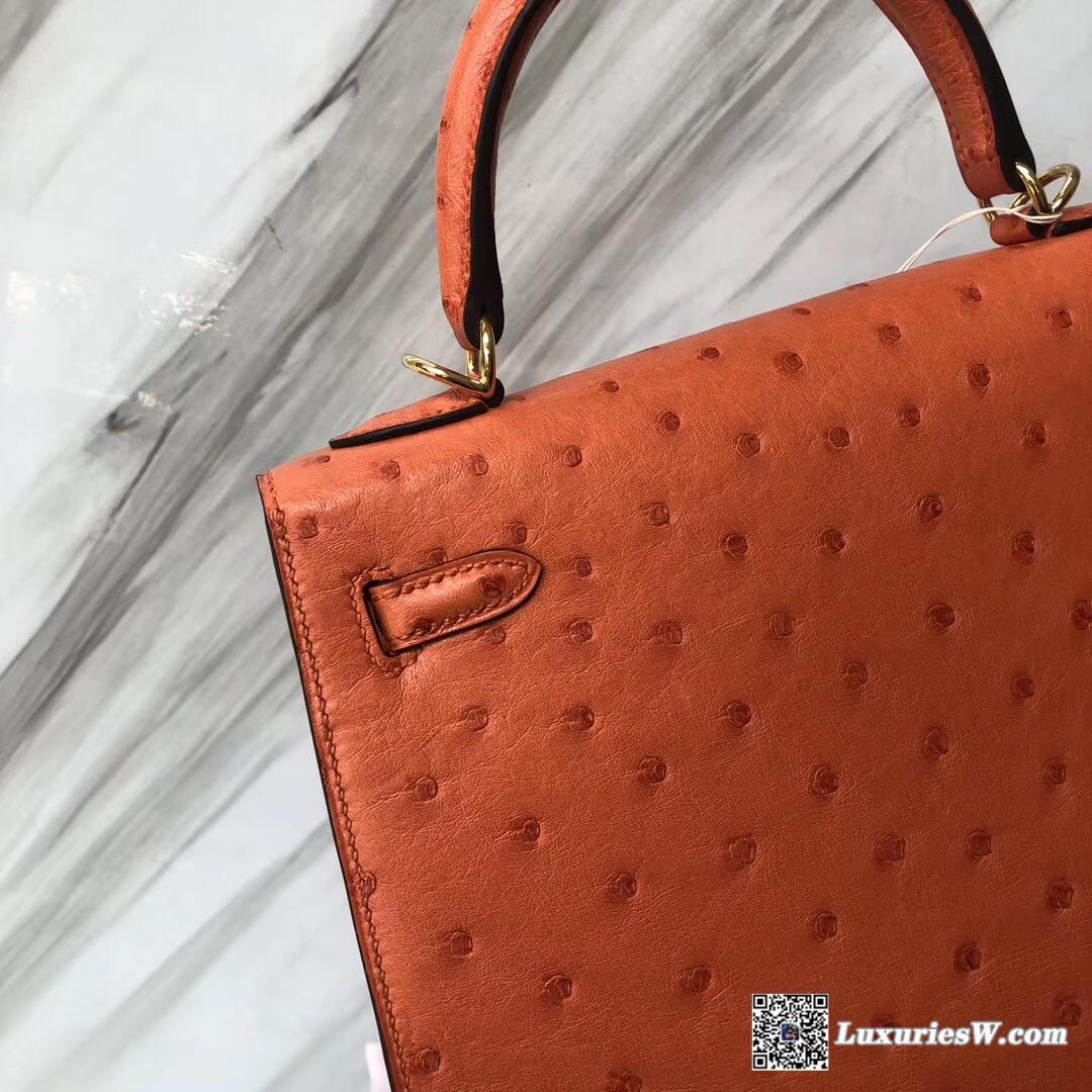 Hermes Kelly 25cm Ostrich kk南非鴕鳥皮 CK93 Orange 經典橙色