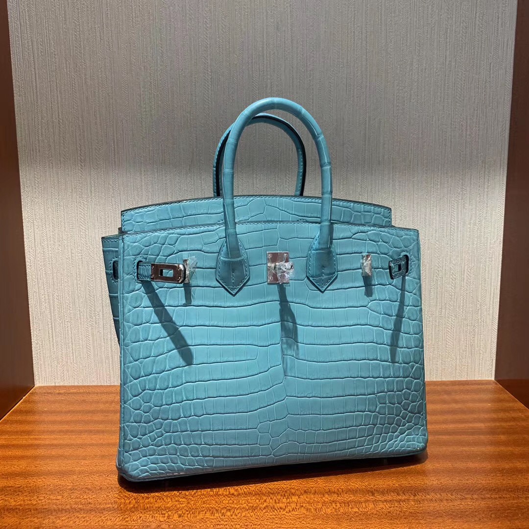 Malaysia Hermes Birkin 25cm 3Z聖利息亞蘭 霧面兩點 尼羅鱷