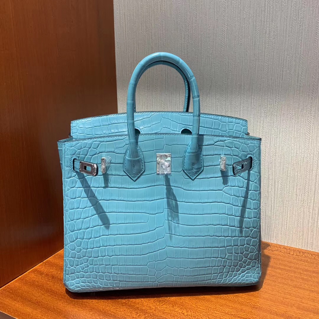 Malaysia Hermes Birkin 25cm 3Z聖利息亞蘭 霧面兩點 尼羅鱷