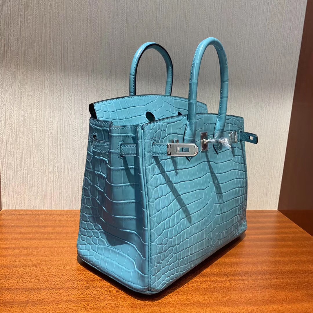 Malaysia Hermes Birkin 25cm 3Z聖利息亞蘭 霧面兩點 尼羅鱷