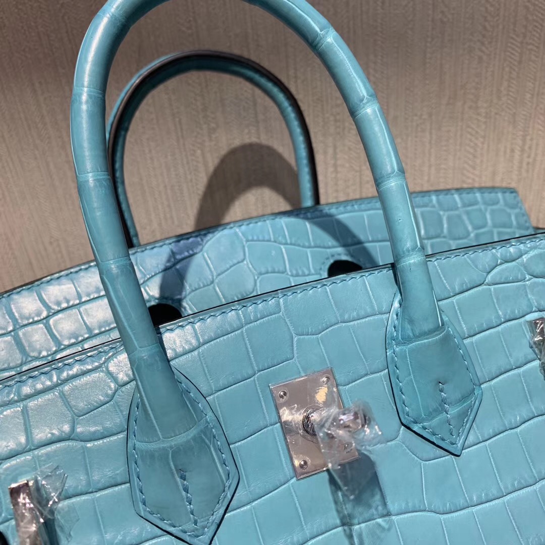 Malaysia Hermes Birkin 25cm 3Z聖利息亞蘭 霧面兩點 尼羅鱷